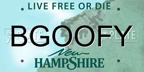 BGOOFY New Hampshire License Plate