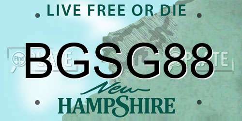 BGSG88 New Hampshire License Plate