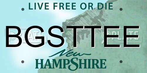 BGSTTEE New Hampshire License Plate