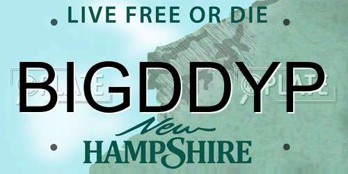 BIGDDYP New Hampshire License Plate