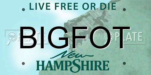 BIGFOT New Hampshire License Plate