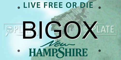 BIGOX New Hampshire License Plate