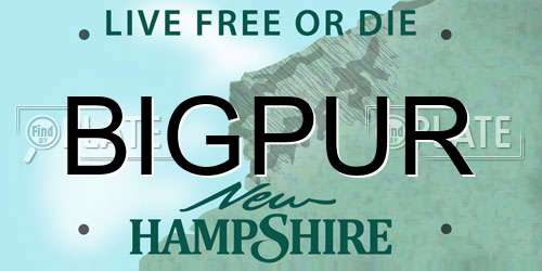 BIGPUR New Hampshire License Plate
