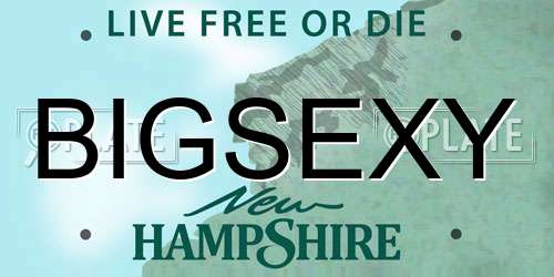 BIGSEXY New Hampshire License Plate