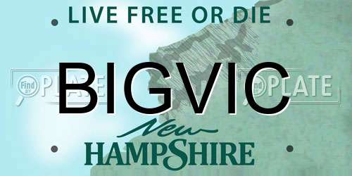 BIGVIC New Hampshire License Plate