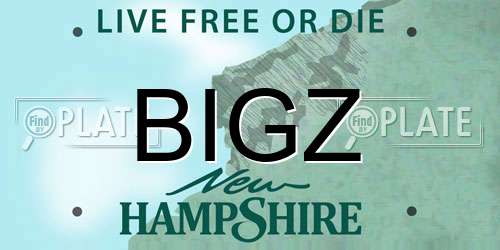 BIGZ New Hampshire License Plate