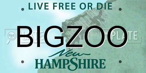 BIGZOO New Hampshire License Plate