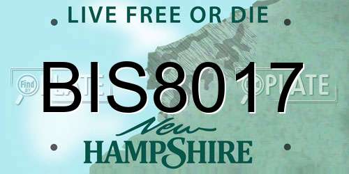 BIS8017 New Hampshire License Plate