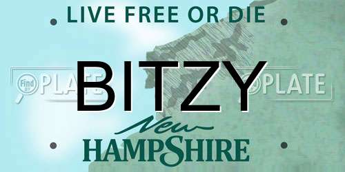 BITZY New Hampshire License Plate