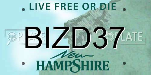 BIZD37 New Hampshire License Plate