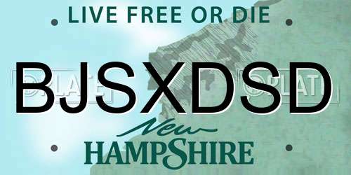 BJSXDSD New Hampshire License Plate