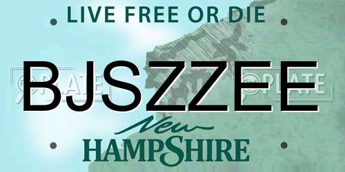 BJSZZEE New Hampshire License Plate