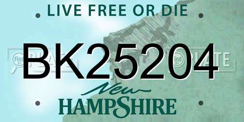 BK25204 New Hampshire License Plate