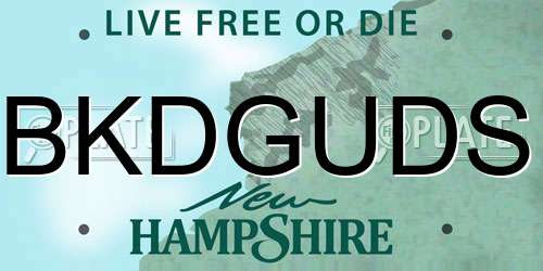 BKDGUDS New Hampshire License Plate
