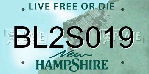 BL2S019 New Hampshire License Plate