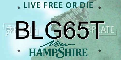 BLG65T New Hampshire License Plate