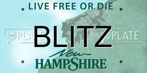 BLITZ New Hampshire License Plate