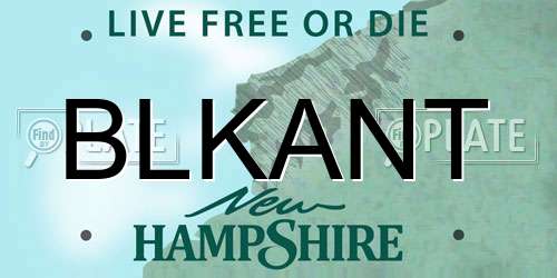 BLKANT New Hampshire License Plate