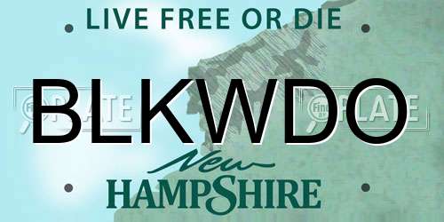 BLKWDO New Hampshire License Plate