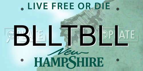 BLLTBLL New Hampshire License Plate