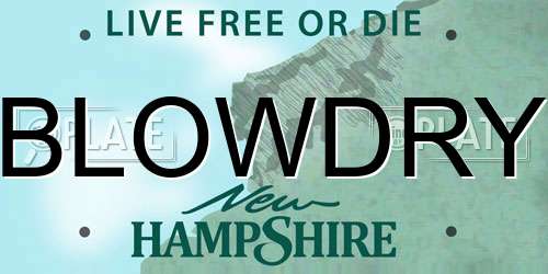 BLOWDRY New Hampshire License Plate
