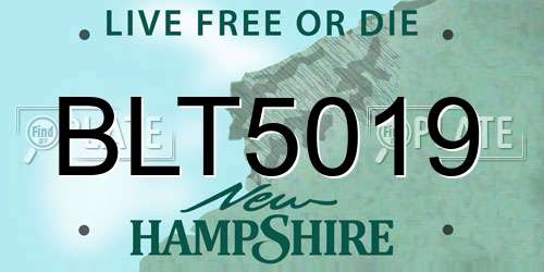 BLT5019 New Hampshire License Plate