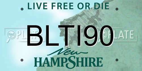 BLTI90 New Hampshire License Plate