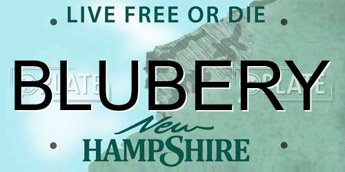 BLUBERY New Hampshire License Plate