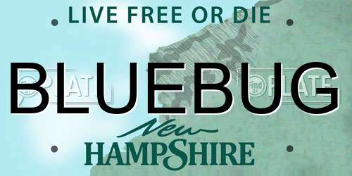 BLUEBUG New Hampshire License Plate