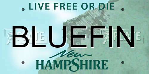 BLUEFIN New Hampshire License Plate