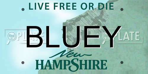 BLUEY New Hampshire License Plate