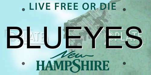 BLUEYES New Hampshire License Plate