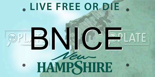 BNICE New Hampshire License Plate