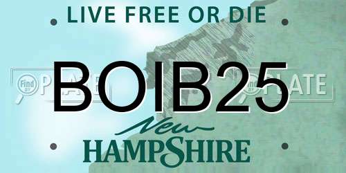 BOIB25 New Hampshire License Plate