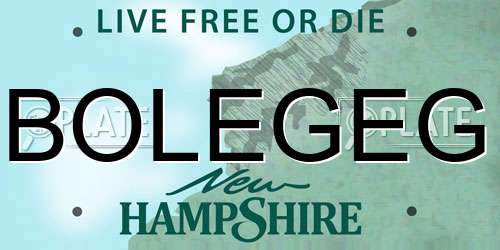BOLEGEG New Hampshire License Plate