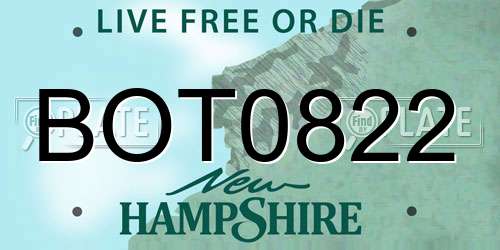 BOT0822 New Hampshire License Plate