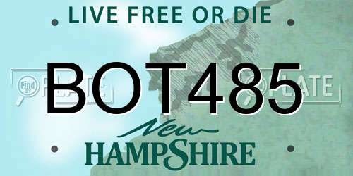 BOT485 New Hampshire License Plate