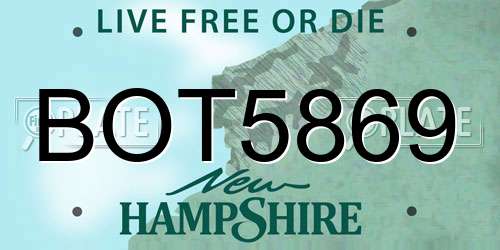 BOT5869 New Hampshire License Plate