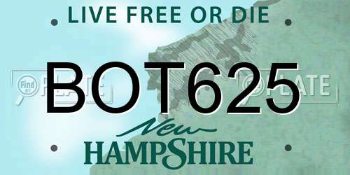 BOT625 New Hampshire License Plate