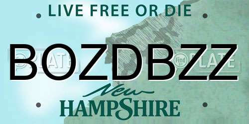 BOZDBZZ New Hampshire License Plate