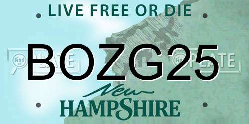 BOZG25 New Hampshire License Plate