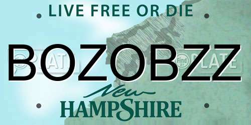 BOZOBZZ New Hampshire License Plate