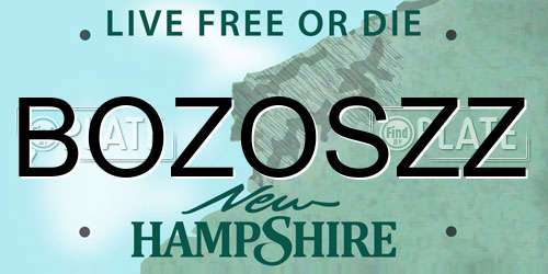BOZOSZZ New Hampshire License Plate