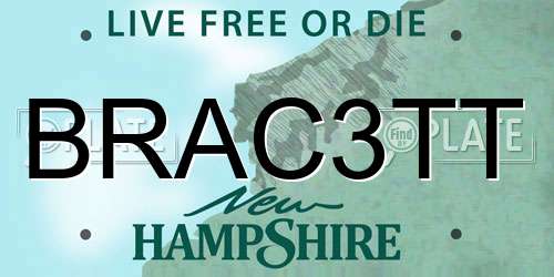 BRAC3TT New Hampshire License Plate