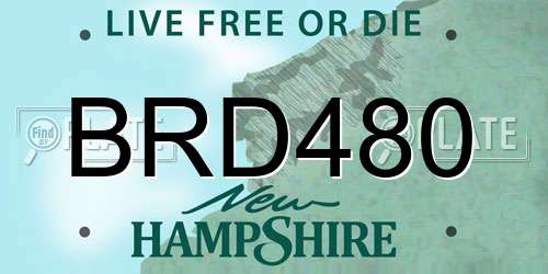 BRD480 New Hampshire License Plate
