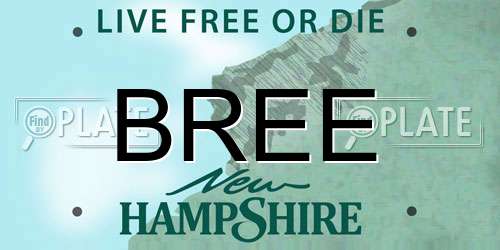 BREE New Hampshire License Plate