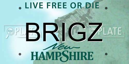 BRIGZ New Hampshire License Plate