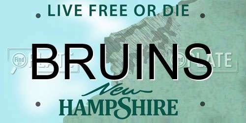 BRUINS New Hampshire License Plate