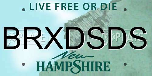 BRXDSDS New Hampshire License Plate