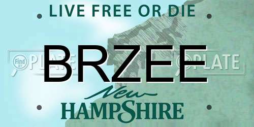 BRZEE New Hampshire License Plate